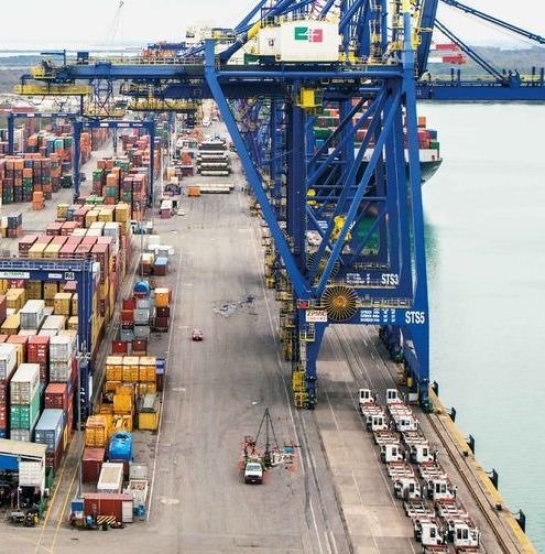 WhatsApp Image 2024-04-25 at 3.56.06 PM