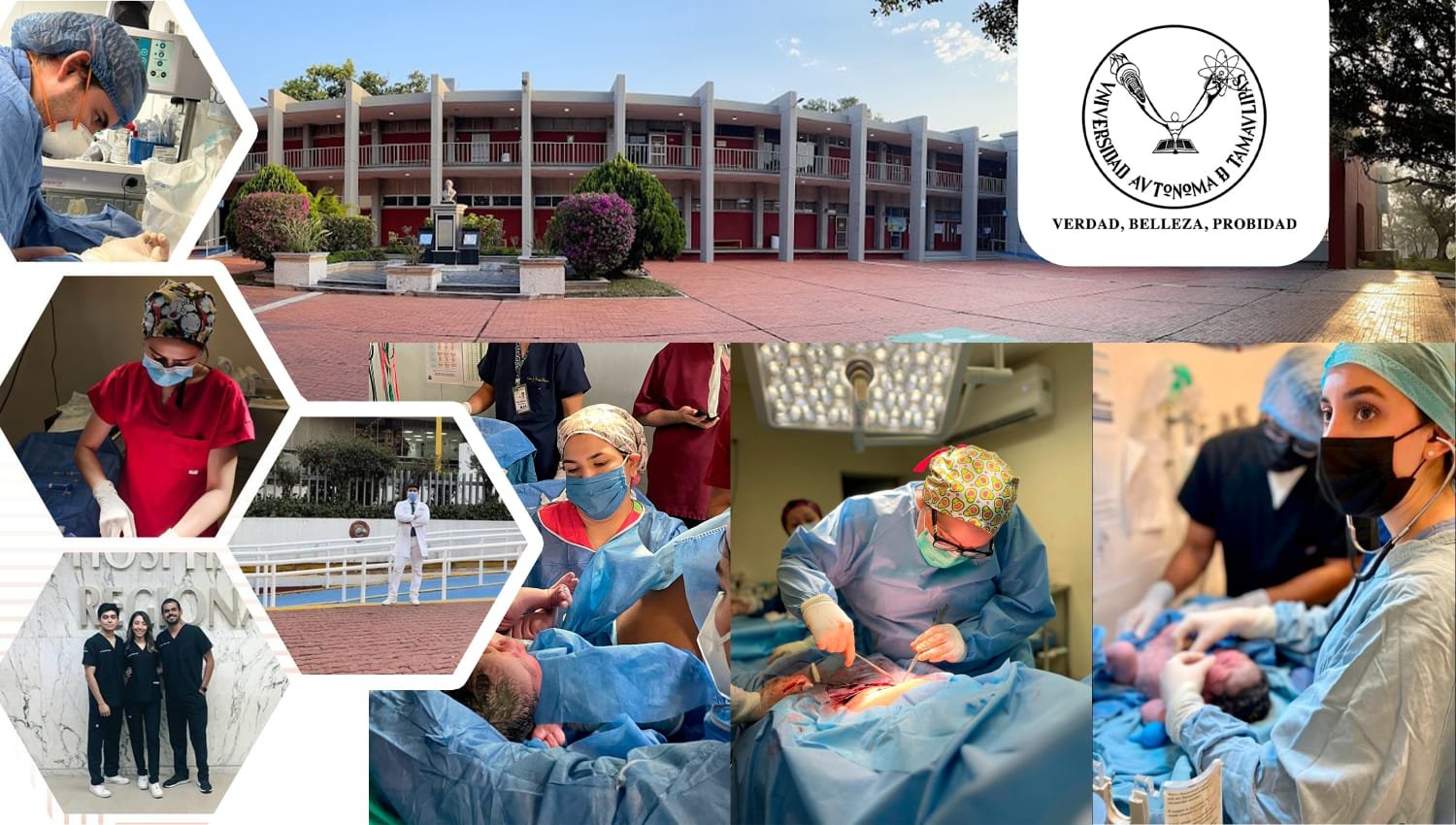 WhatsApp Image 2024-04-25 at 4.19.07 PM