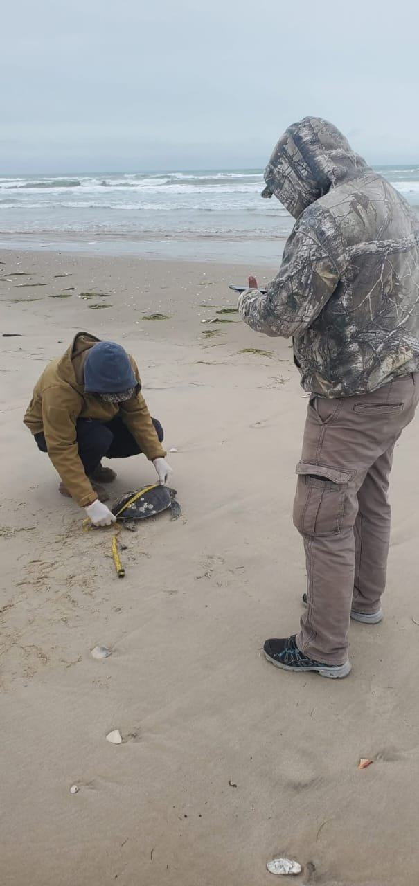 WhatsApp Image 2025-01-23 at 5.23.56 PM