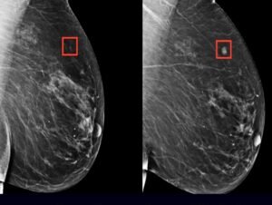 FB_IMG_1750914448330