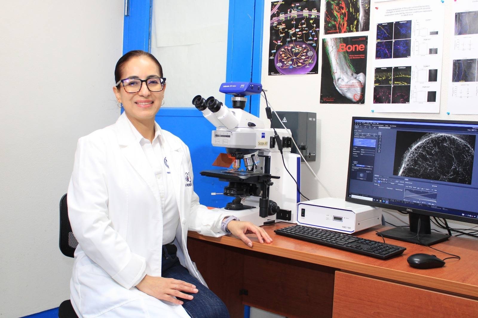 Reconocen a 92 docentes de la UAT en el Sistema Nacional de ...