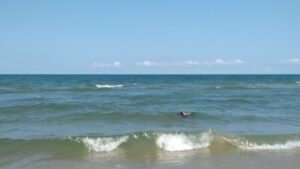 IMG-20250812-WA0019
