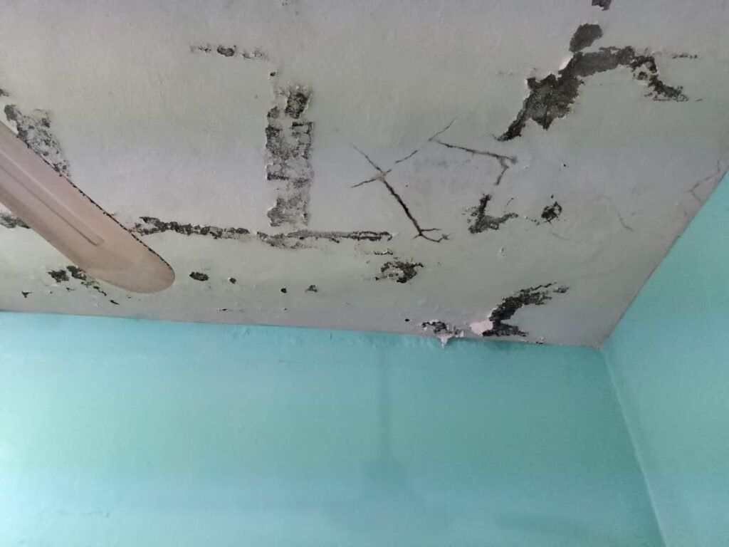 Imagen de WhatsApp 2025-10-16 a las 19.02.50_62b3444a