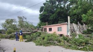 Imagen de WhatsApp 2025-10-29 a las 19.22.12_30e0de82