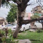 Rachas de hasta 90 km/h dejan afectaciones menores en la zona sur de Tamaulipas por el Frente Frío No. 11