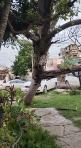 Imagen de WhatsApp 2025-10-29 a las 22.08.42_16e996bb