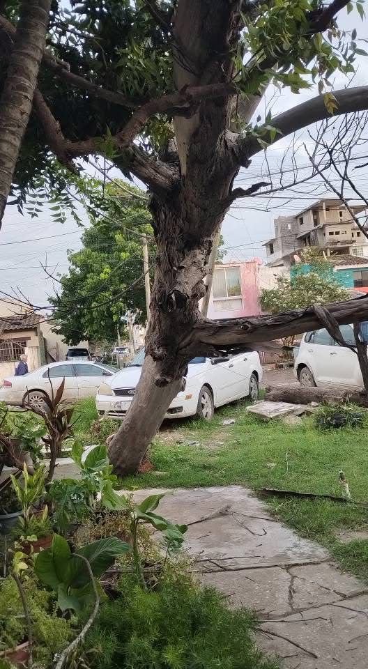 Imagen de WhatsApp 2025-10-29 a las 22.08.42_16e996bb