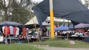 Imagen de WhatsApp 2025-10-30 a las 20.42.57_e5a340bd