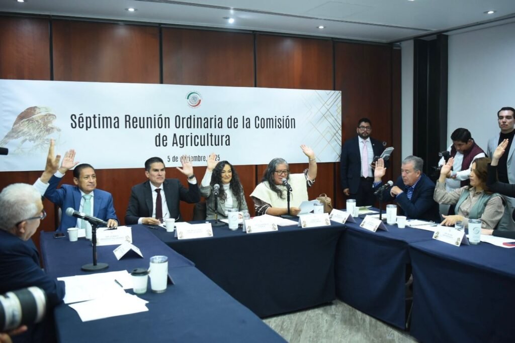 Imagen de WhatsApp 2025-11-05 a las 21.58.25_c17216ad