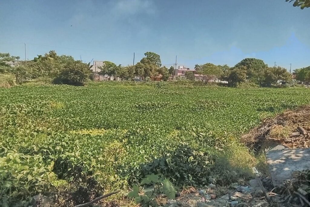 Imagen de WhatsApp 2025-11-07 a las 18.49.59_6237bef2