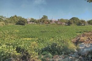 Imagen de WhatsApp 2025-11-07 a las 18.49.59_6237bef2