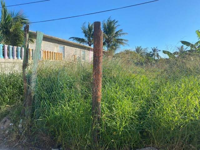 Imagen de WhatsApp 2025-11-11 a las 18.11.43_e27b9ba1