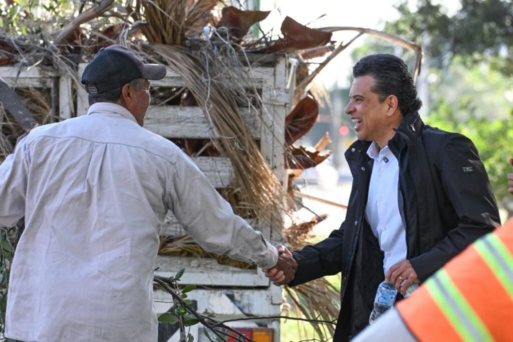 Imagen de WhatsApp 2025-11-13 a las 17.12.08_3880a4bb