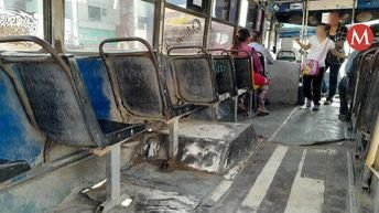 Imagen de WhatsApp 2025-11-13 a las 20.16.16_1016e2a2