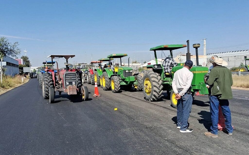 Imagen de WhatsApp 2025-11-24 a las 20.25.17_02320d96