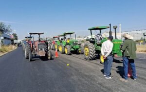 Imagen de WhatsApp 2025-11-24 a las 20.25.17_02320d96