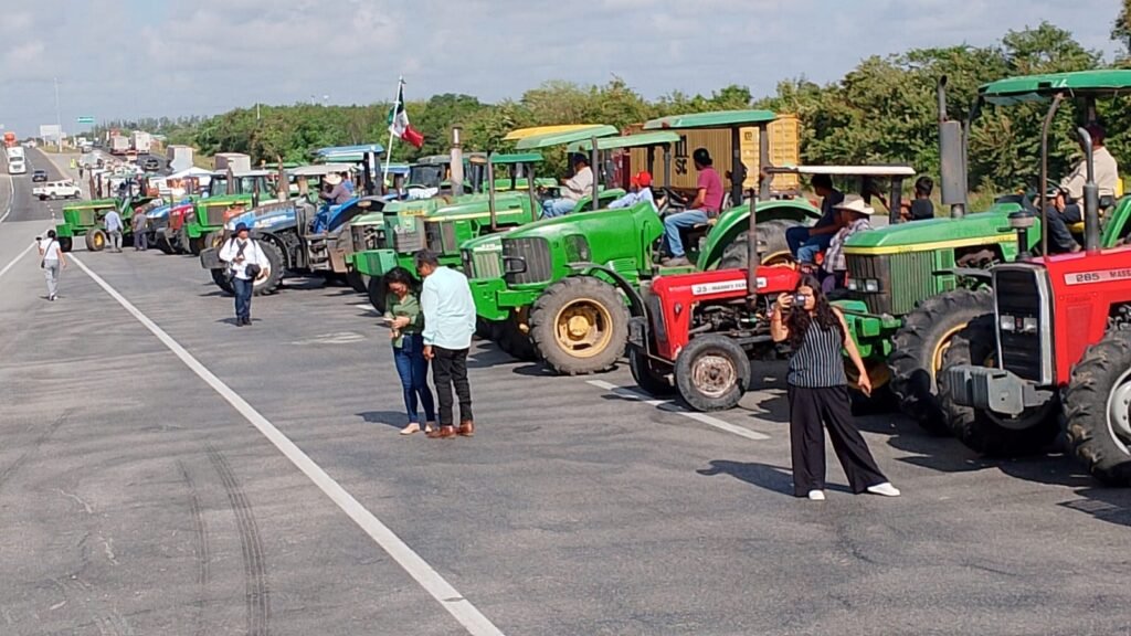 Imagen de WhatsApp 2025-11-24 a las 22.46.07_da63a095