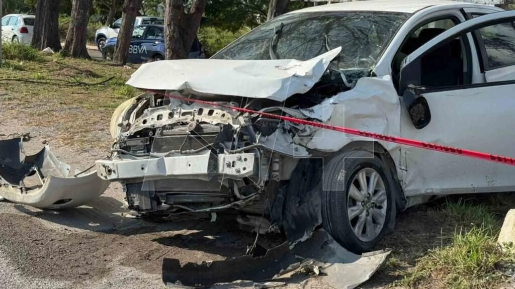 Imagen de WhatsApp 2025-11-25 a las 17.56.12_61a93dbd