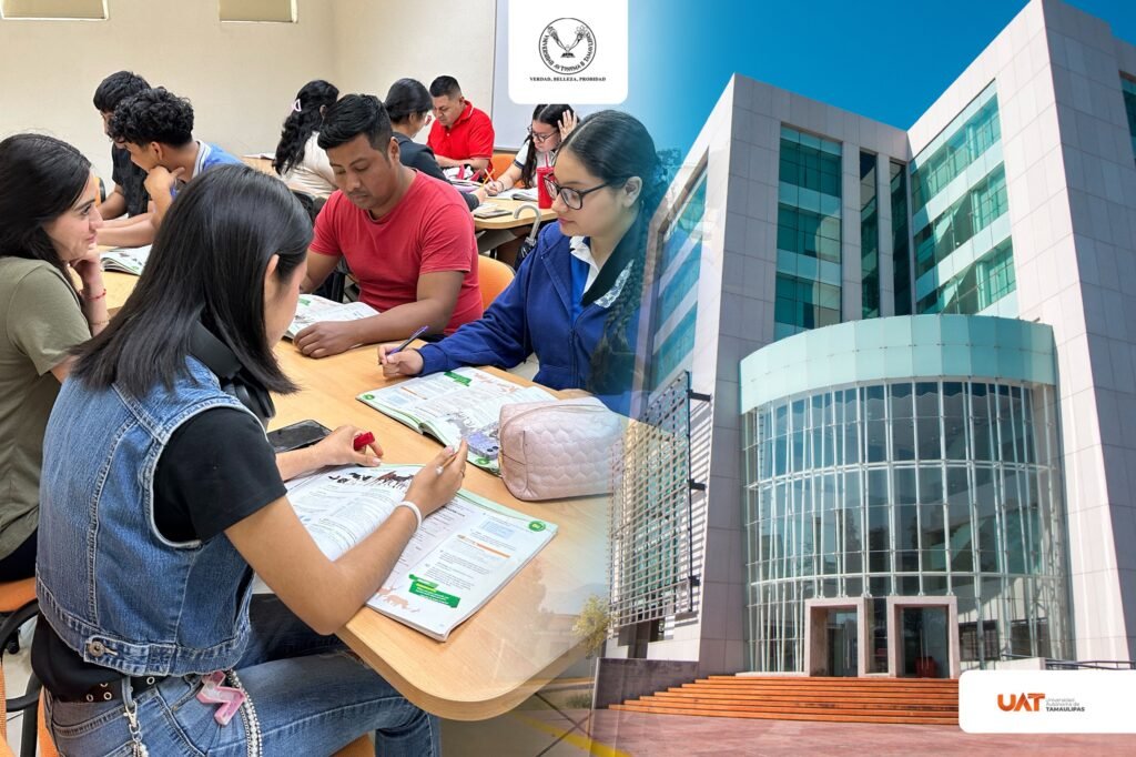 IMG-20260108-WA0006(1)