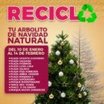 Ciudad Madero instala 11 centros para acopio de pinos naturales tras temporada decembrina