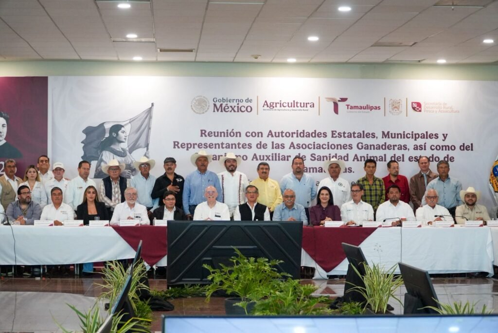 IMG-20260112-WA0017(1)