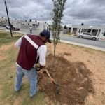 Reforestan espacios públicos en Nuevo Laredo con participación ciudadana