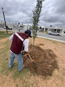 IMG-20260414-WA0005(1)