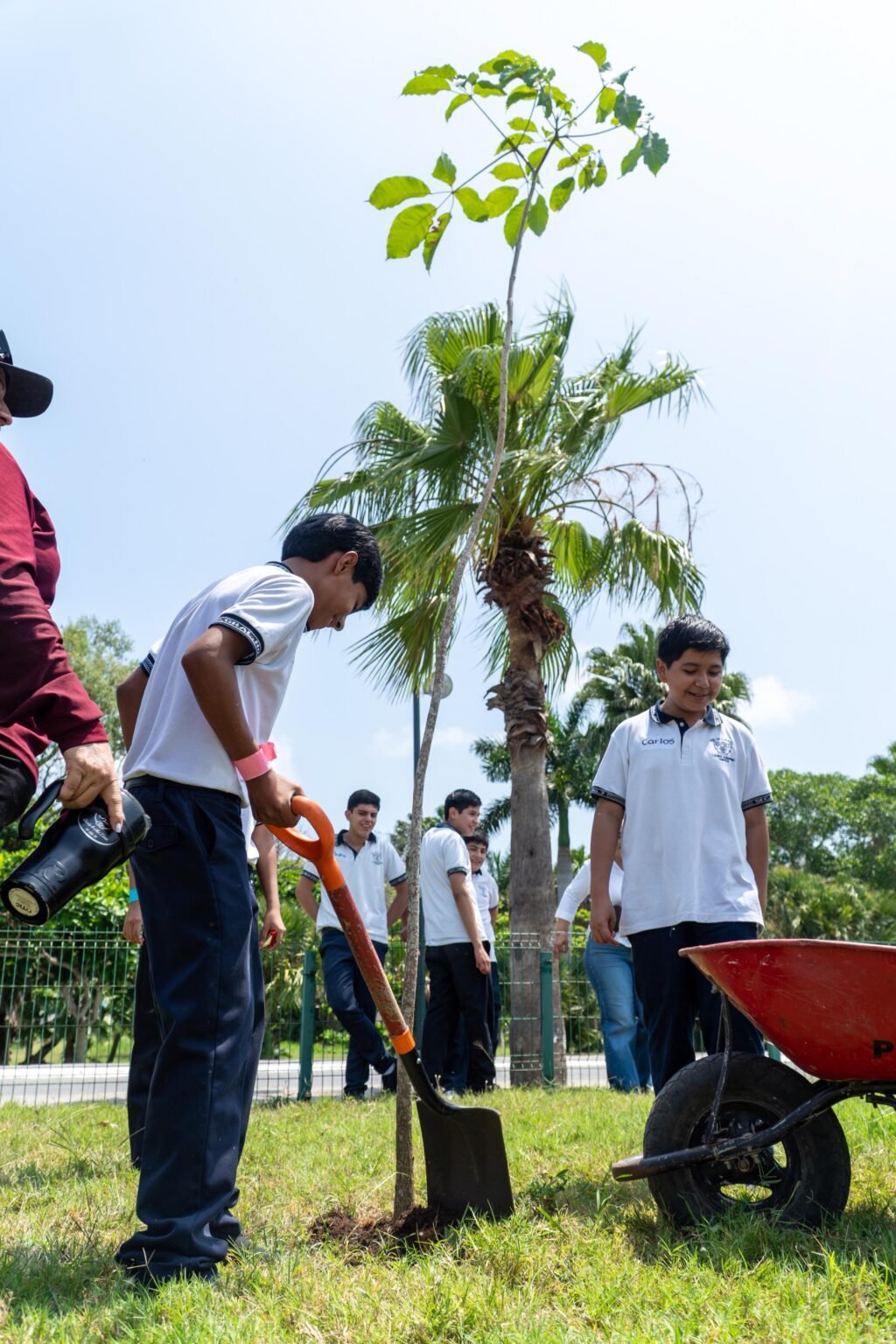 IMG-20260422-WA0017(1)