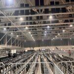 Expo Tampico será modernizada tras más de una década sin mantenimiento integral